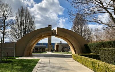 How Okanagan Wineries Can Grow Their Wine Club Memberships